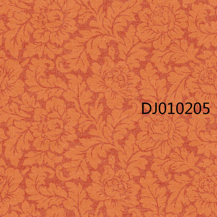 DJ010205