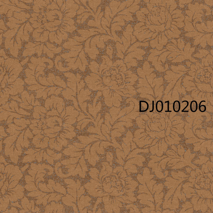 DJ010206